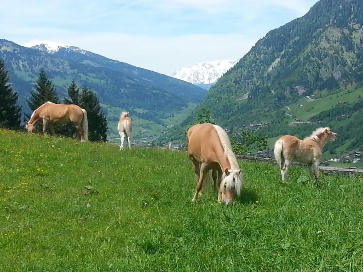 Schmalzgrubengut Bad Hofgastein Exterior foto