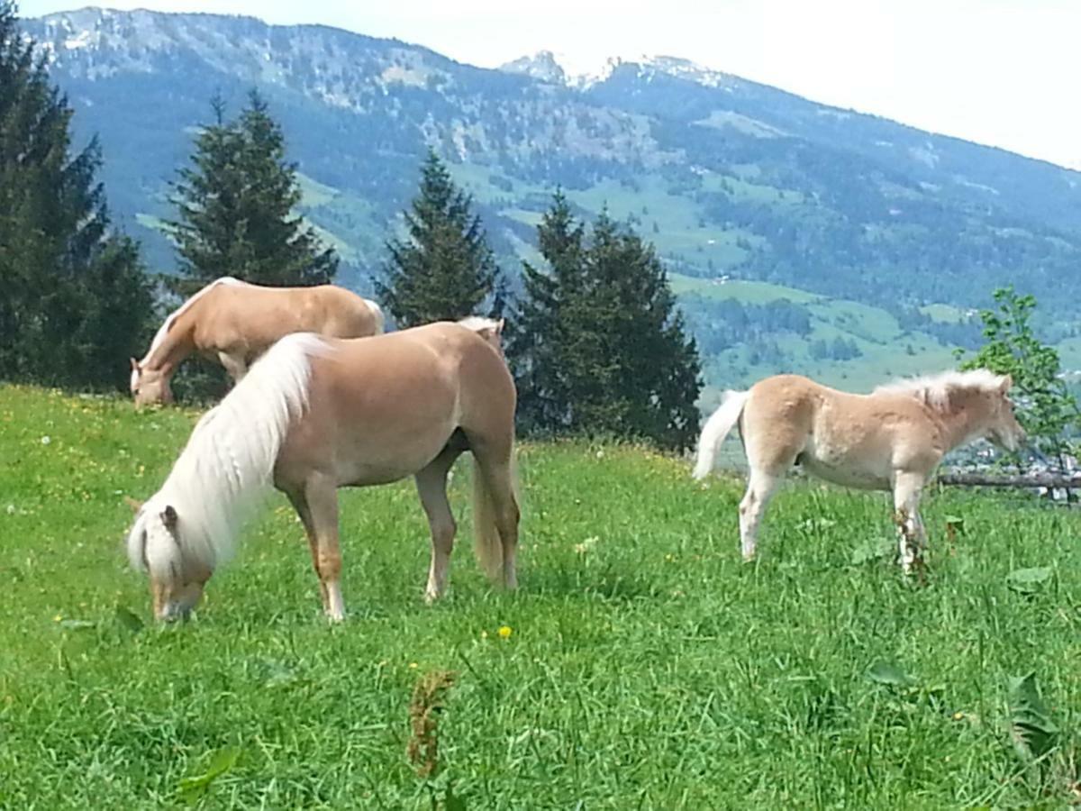Schmalzgrubengut Bad Hofgastein Exterior foto